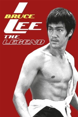 Bruce Lee the Legend 1984 Hindi Dual Audio 480p HDTVRip 300MB - Movierulz