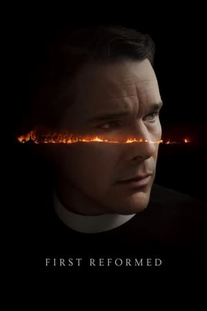 First Reformed 2017 Hindi Dual Audio 480p BluRay 350MB - Movierulz