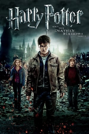 Harry Potter and the Deathly Hallows 2011 – Part 2 Hindi Dubbed Bluray 720p [1.0GB] Download - Movierulz