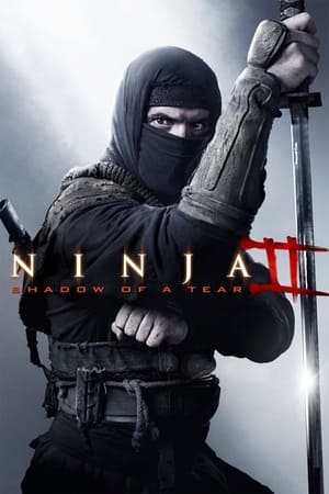 Ninja Shadow of a Tear 2013 Hindi Dual Audio 720p BluRay [800MB] - Movierulz