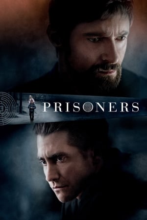 Prisoners 2013 Hindi Dual Audio 480p BluRay 400MB ESubs - Movierulz