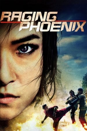Raging Phoenix (2009) Hindi Dual Audio 480p HDRip 350MB - Movierulz